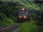 VLI 6020